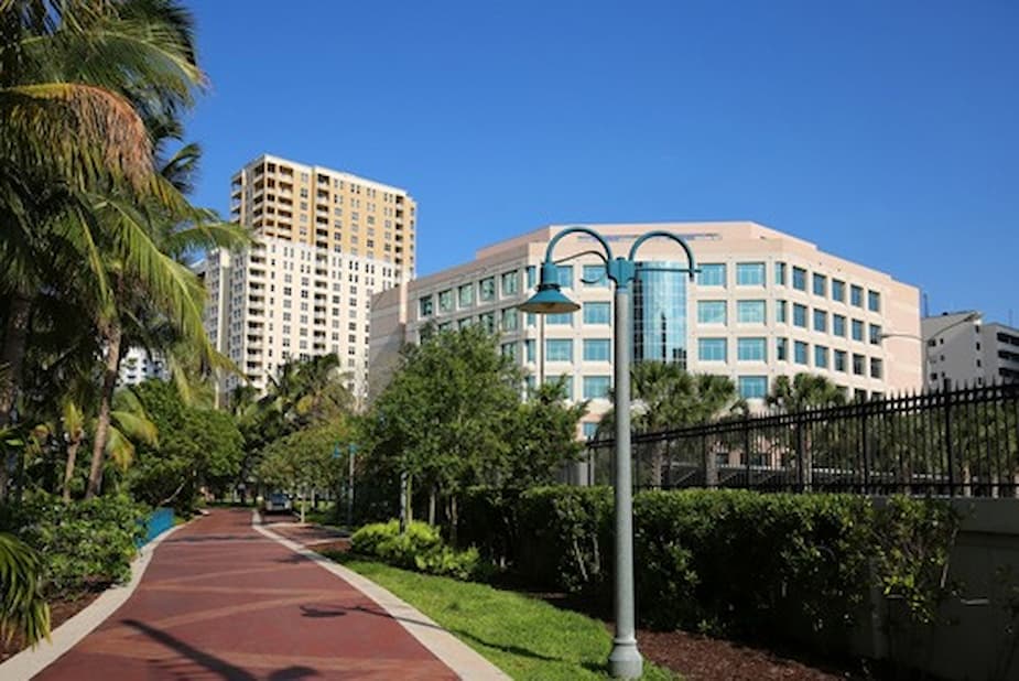 Palm-lined pedestrian path with modern office buildings under a clear blue sky